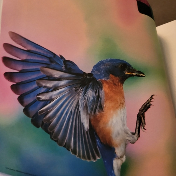 For The Birds: A Month by Month Guide to Attracting Birds to Your Backyard. Used - Picture 7 of 10